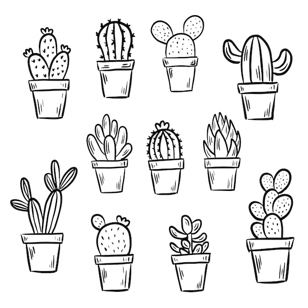 Set of hand drawn cactus in a pot line doodle natural botanical decoration