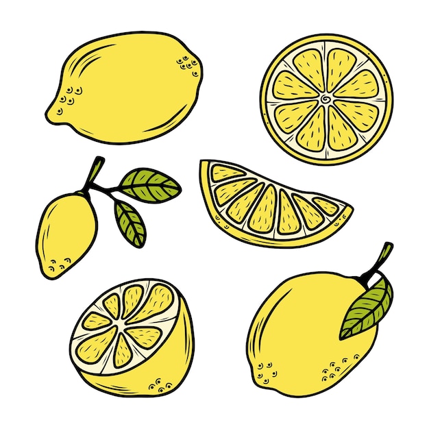 Set of hand drawn colorful citrus fruit lemons isolated on a white background