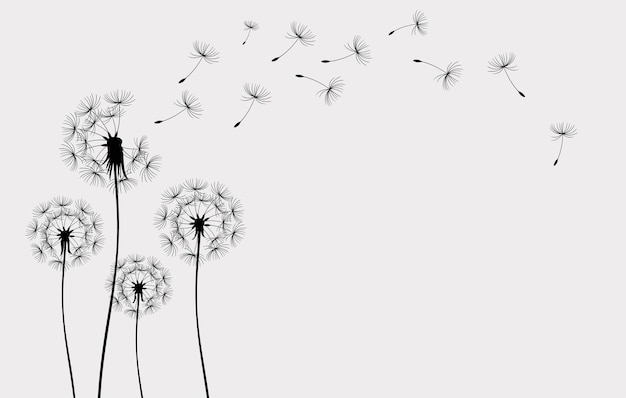 Set of hand drawn dandelion flowers  Conceptual illustration of freedom and serenity