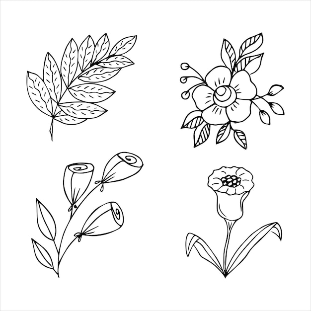 Set of hand drawn doodle plant elements for floral design concept