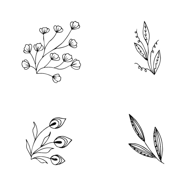 Set of hand drawn doodle plant elements for floral design concept