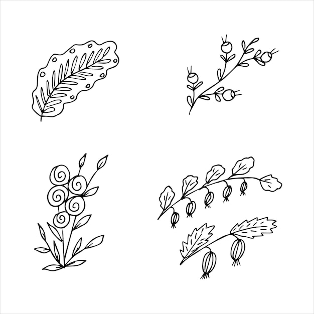 Set of hand drawn doodle plant elements for floral design concept