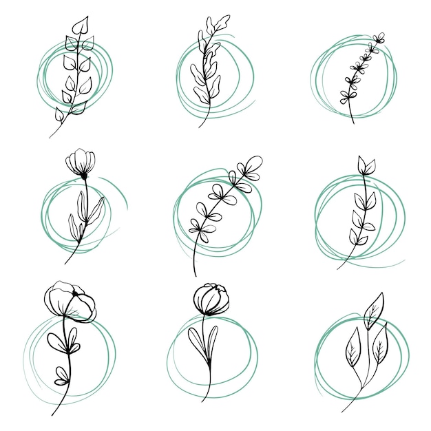 Set of hand drawn doodle vector leaves and branches collection of tree floral plant elements