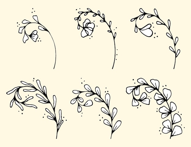 Set of hand drawn doodle vector leaves and branches collection of tree floral plant elements