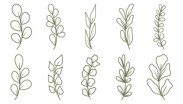 Set of hand drawn doodle vector leaves and branches floral plant elements