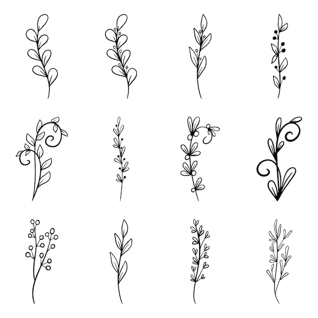 Set of Hand drawn doodle vector leaves and branches Floral plant elements