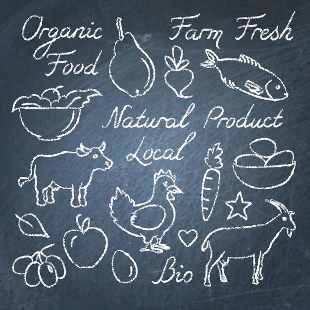 Vector set of hand drawn eco food sketches on chalkboard