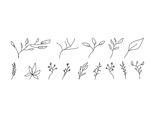 Vector set hand drawn floral branch leaves minimal line art elements vector illustration