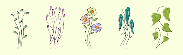 set of hand drawn floral elements design botanical vector flower set