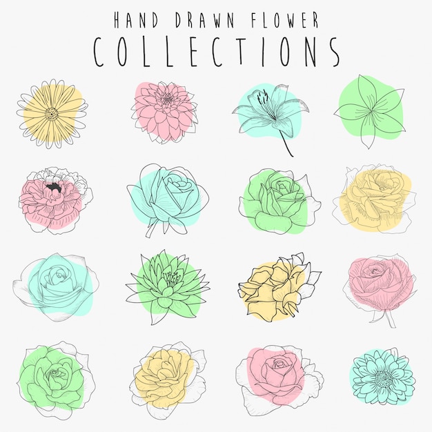 Set of Hand Drawn Floral Elements Vector