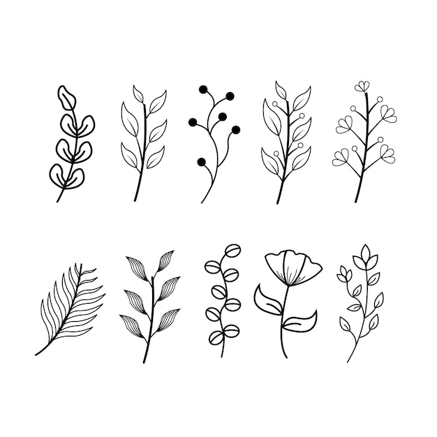 Set of hand drawn flowers and plants vector illustration