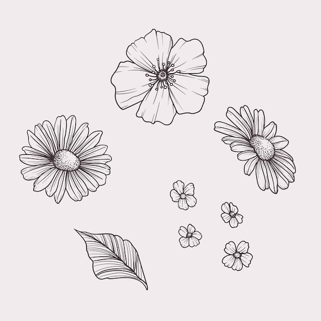 Set of hand drawn flowers Vector outlines illustration Isolated on white background