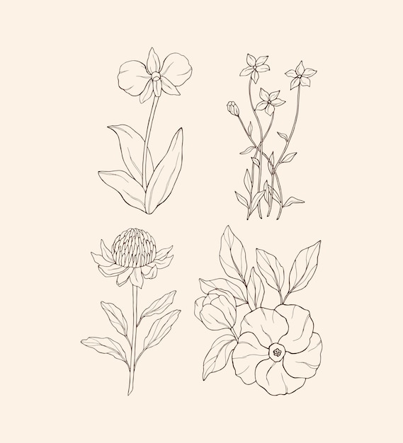 Set of hand drawn flowers