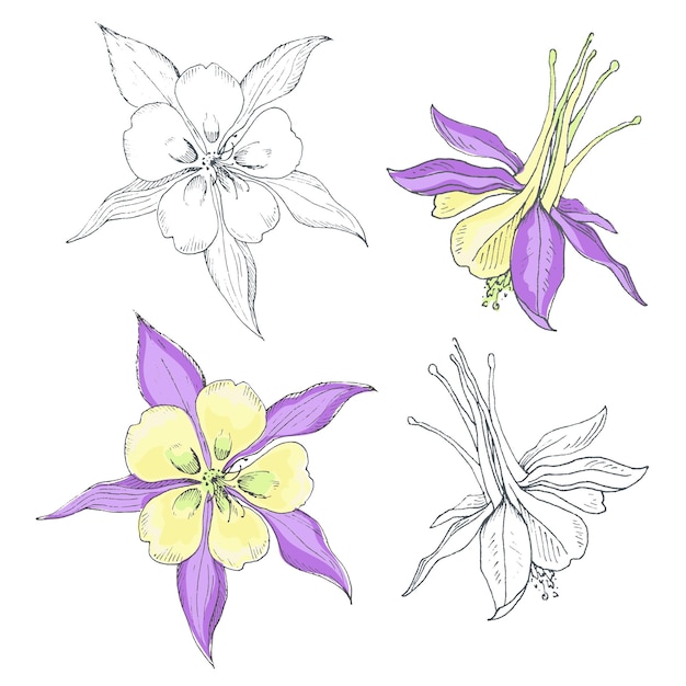 Set of hand drawn flowers.