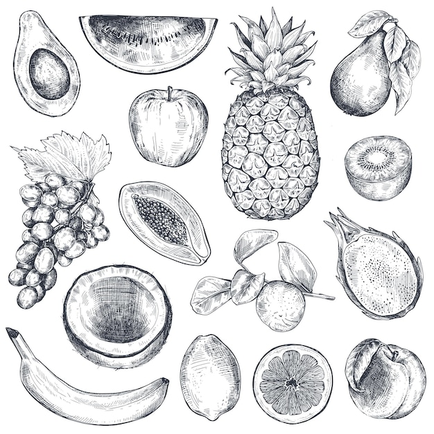 Set of hand drawn fresh fruits in sketch style Black and white vector collection