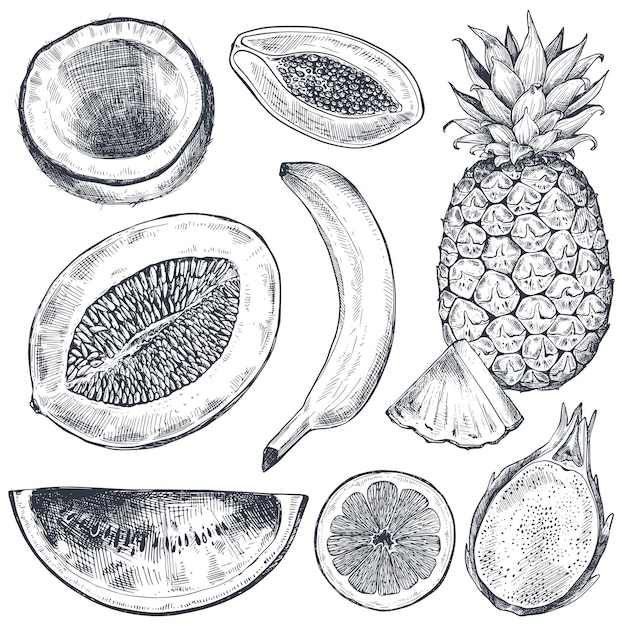 Set of hand drawn fresh fruits in sketch style Black and white vector collection