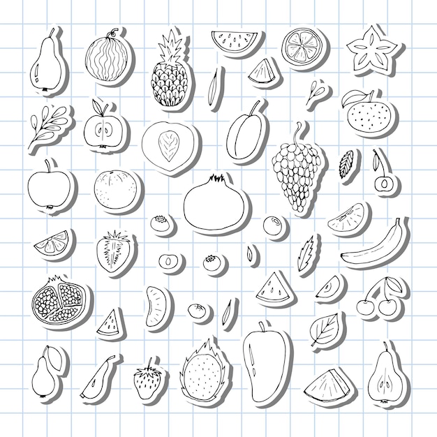 Vector set of hand drawn fruit and berries icons summer fruit collection sketch doodle stickers