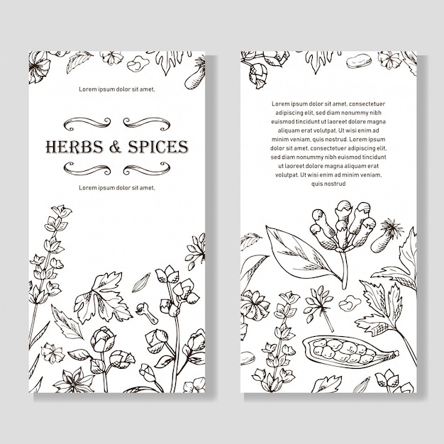 Set of hand drawn herbs and spices banners