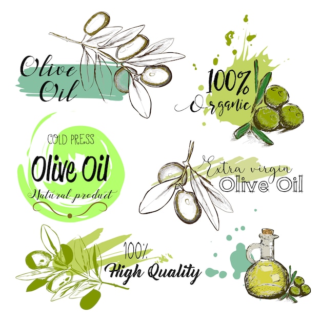 Set of hand drawn labels and signs of olive oil. 