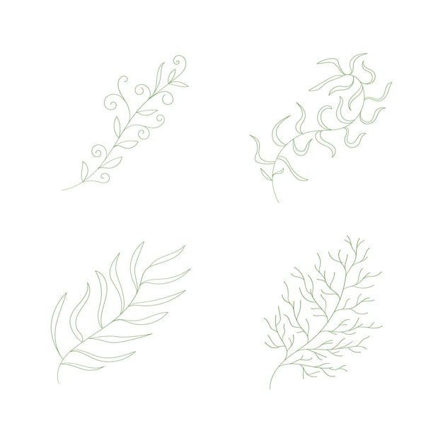 Set of hand drawn leaf branch flower with different shape