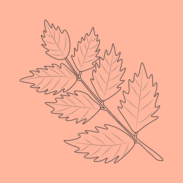 Set of hand drawn leaf outlines Vector illustration on the autumn background