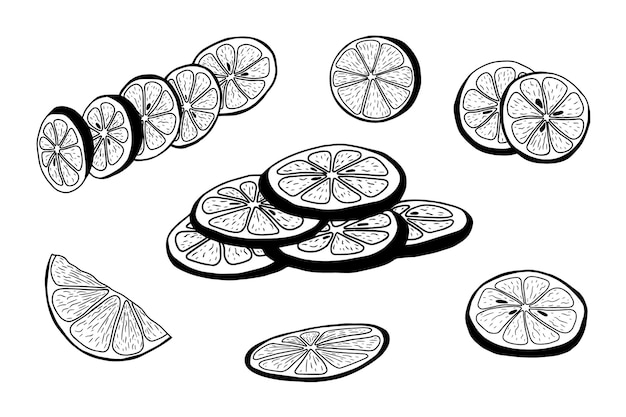 Set of hand drawn lemon slices, Isolated black on white elements for design