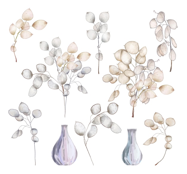 Set of hand drawn Lunaria rediviva branches and bouquets