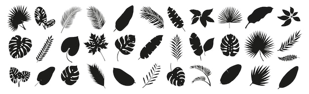 Set of hand drawn modern tropical exotic leaves and branches silhouette isolated on transparent background Vector illustration