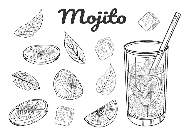 Set of hand drawn monochrome cocktail mojito, lime, mint and ice cubes. Vector illustration. Isolated on white.