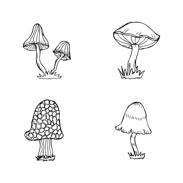 Set of hand drawn mushrooms black and white vector