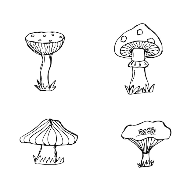 Set of hand drawn mushrooms black and white vector