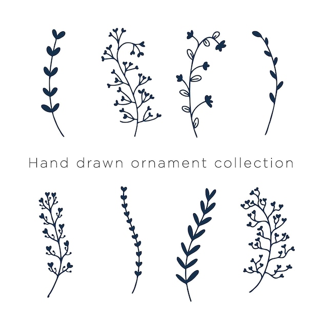 Set of hand drawn ornament collection vector foliage