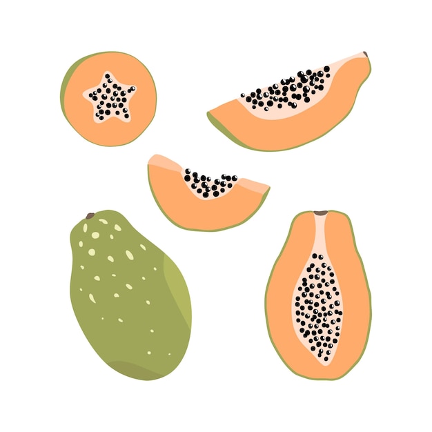 Set of hand drawn papaya elements in different forms Exotic fruit illustration