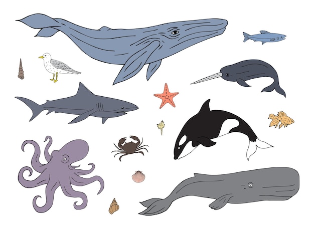 Set of hand drawn sea animals and fish