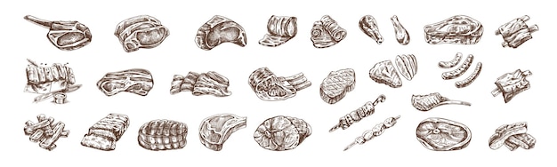 Vector set of hand drawn sketches of different types of meat steaks ribs chicken kebabs bacon tenderloin