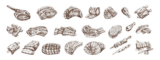 Set of hand drawn sketches of different types of meat steaks ribs chicken kebabs bacon