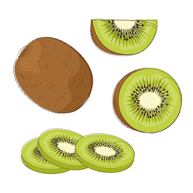 Set of hand drawn sliced kiwi fruit in flat design