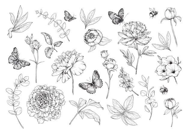 Vector set of hand drawn vector peonies summer garden flowers and leaves butterflies bumblebees in black and white sketch style