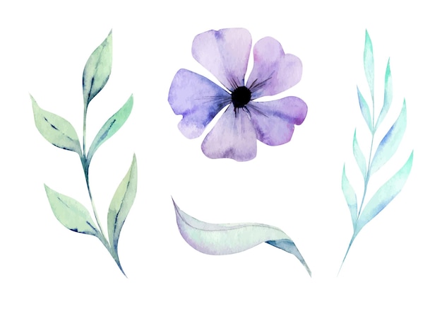 Set of hand drawn watercolor flowers and leaves