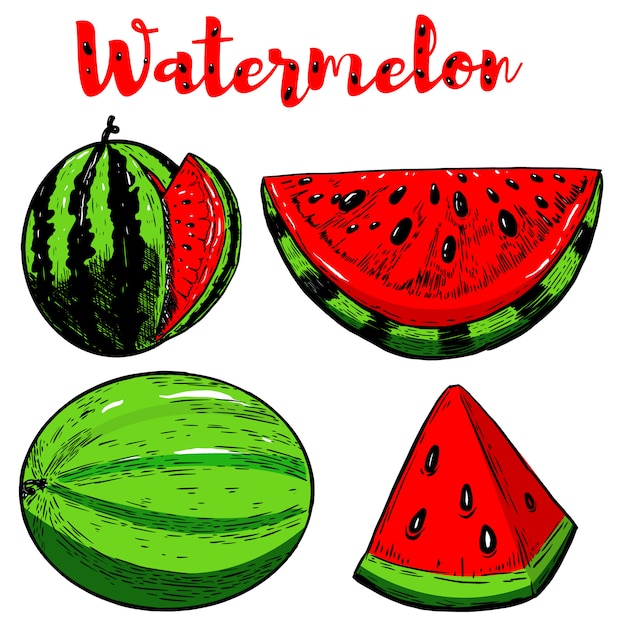 Set of hand drawn watermelon illustrations on white background.  elements for poster, menu, flyer.  illustration