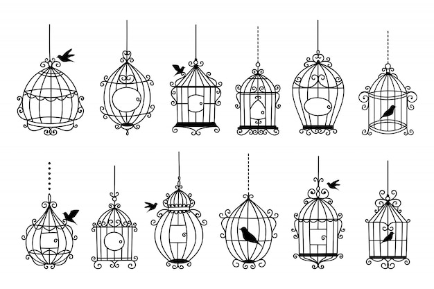 Set of hand drawn wedding birdcage collections