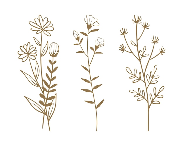 Set of hand drawn wildflowers and herbs Vector illustration