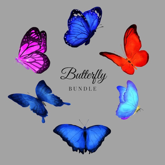 Set of hand painted colorful beautiful watercolor butterflies of different colors