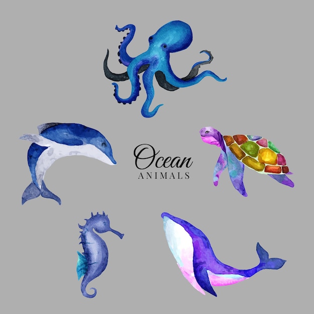 Set of hand painted watercolor ocean animals,watercolor octopus, tortoise, dolphin, whale, sea horse