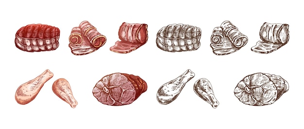 Vector set of handdrawn colored and monochrome sketches of meat pieces beef steak ham pork chicken