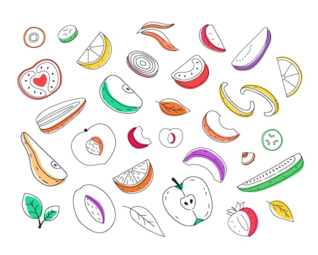 Set of handdrawn cut fruits and vegetables Doodle illustration