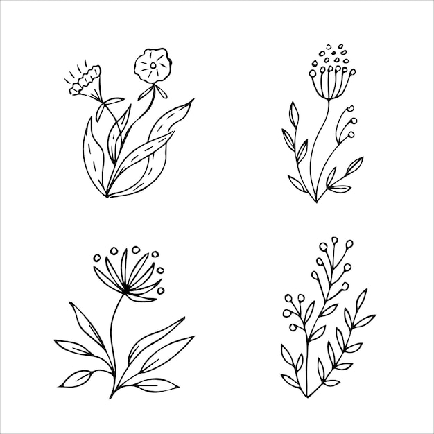 Set of handdrawn doodle plant elements for floral design concept