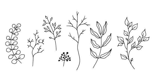 Vector set of handdrawn floral elementsdoodle plants and branches on a white background