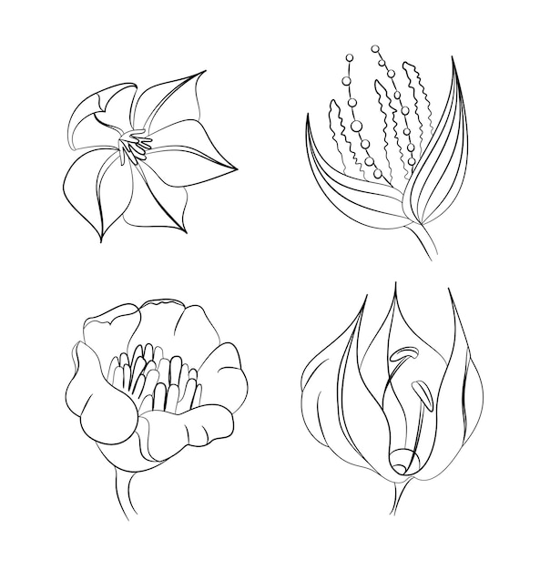 Set of handdrawn flowers