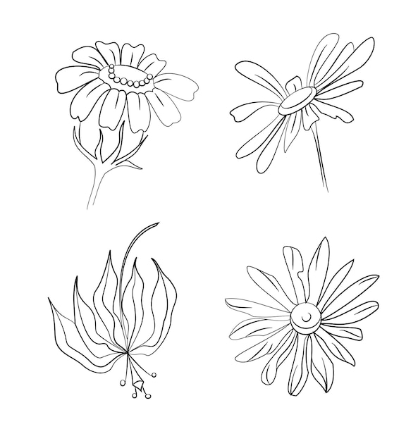 Set of handdrawn flowers